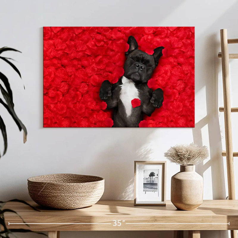 Bouledogue français Brampt Valentines
