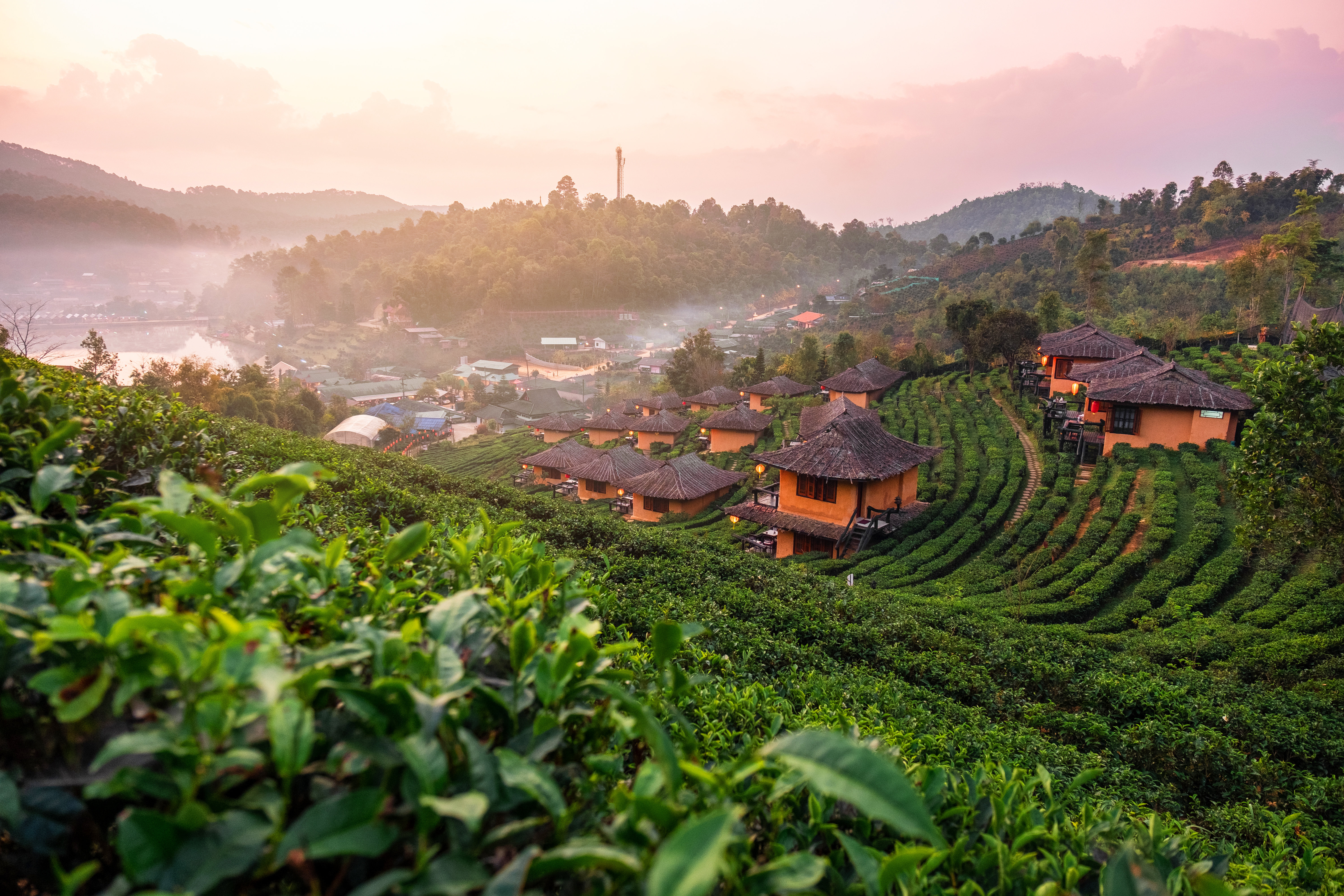 Alpen Home Accime Lee Wine Ruk Thai - Wrapped Canvas Photograph ...