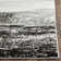 Gicu Abstract Silver/Multi Area Rug