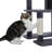 Cat Tree House