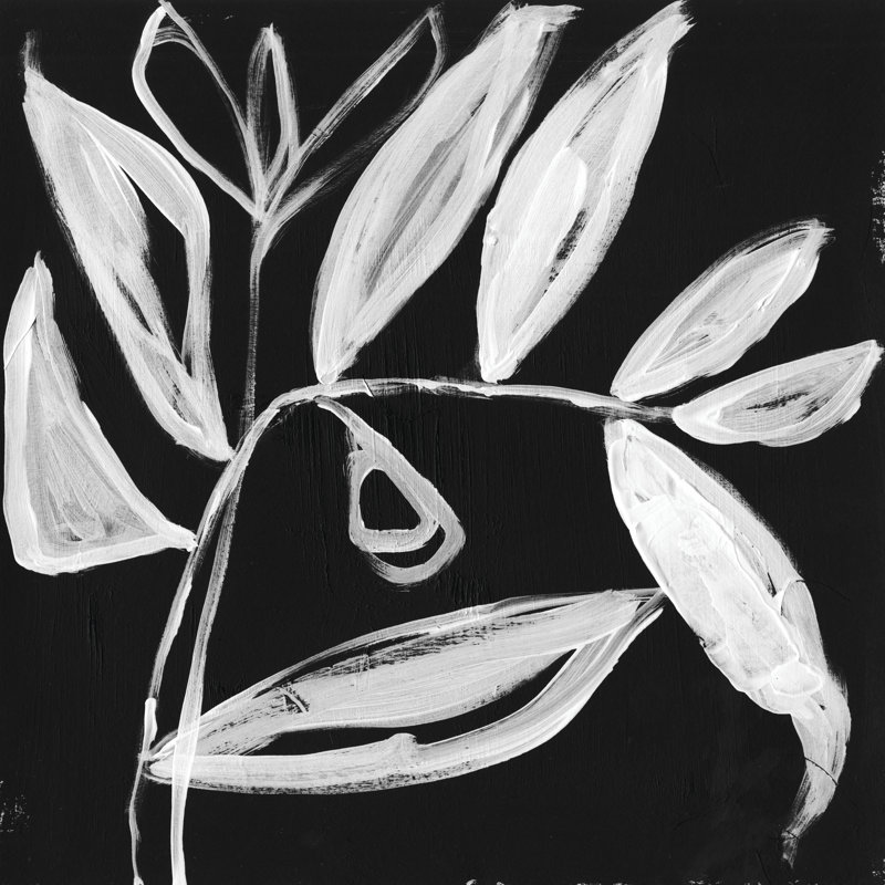 Feuilles blanches excentriques II, H 12 po x l 12 po