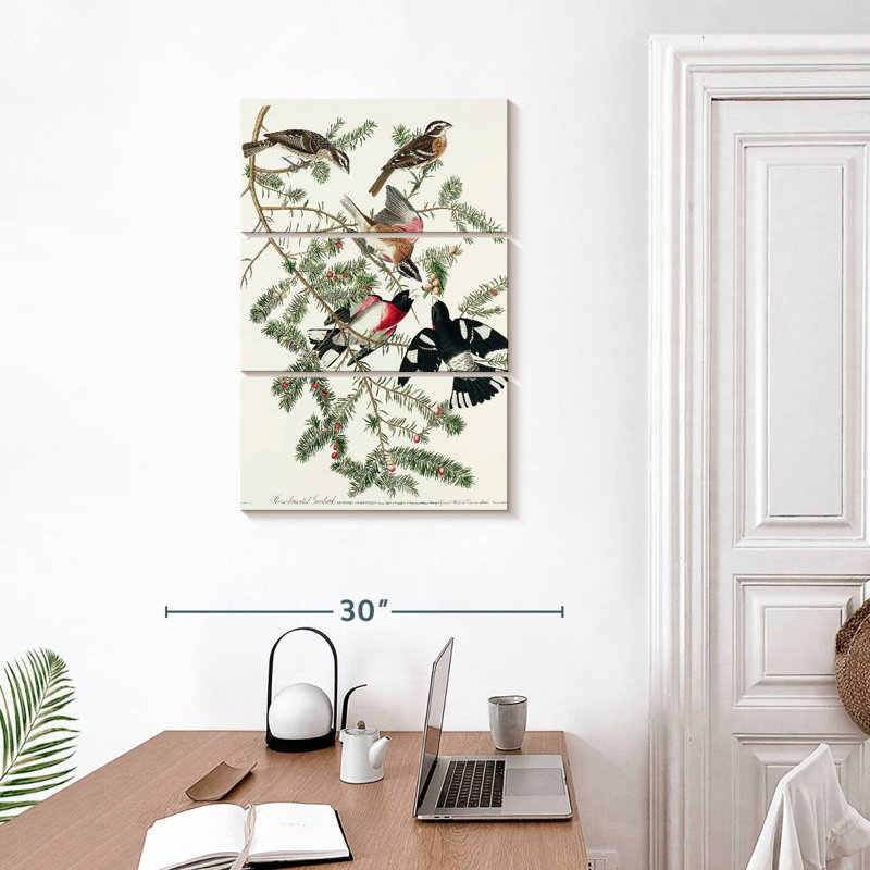 Brampt Rose Breasted Grosbeak, 32" H x 20" W
