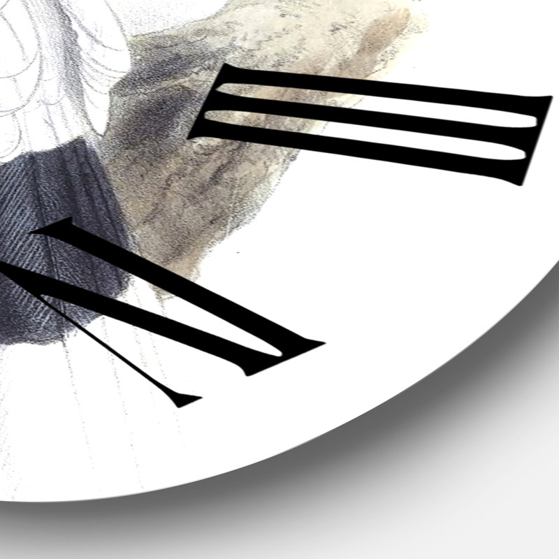 Illustration d'oiseau rétro I - horloge murale traditionnelle, Surdimensionné