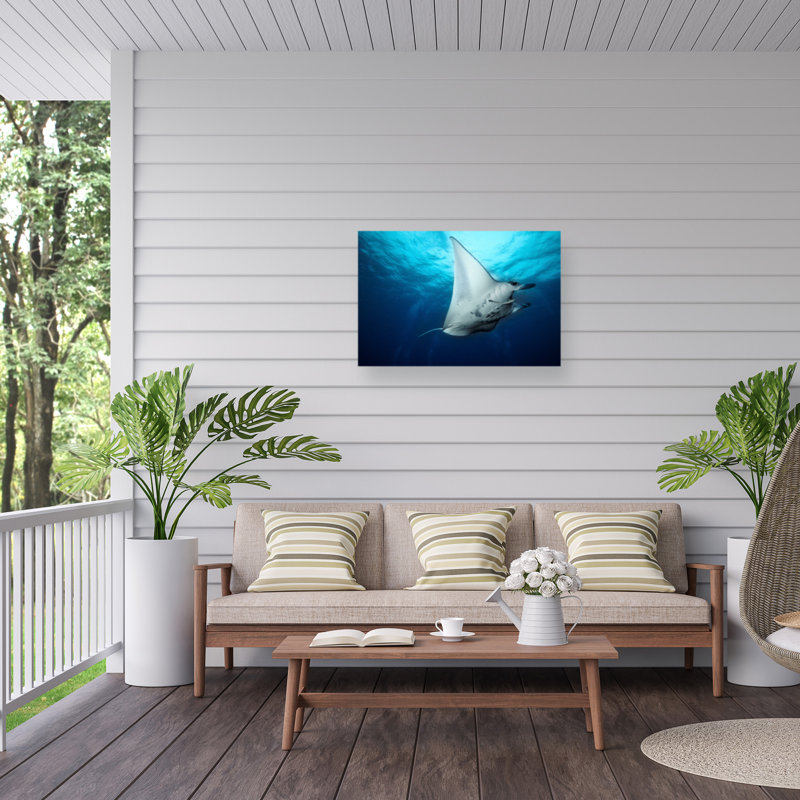 «Manta Fly on Canvas» par Roberto Marchegiani, reproduction, H 22 po x l 32 po