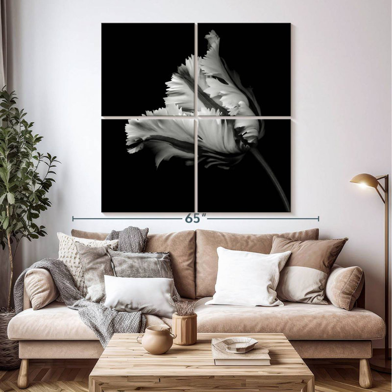 BW Parrot Tulip