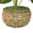 22'' Faux Philodendron Plant in Wicker/Rattan Basket