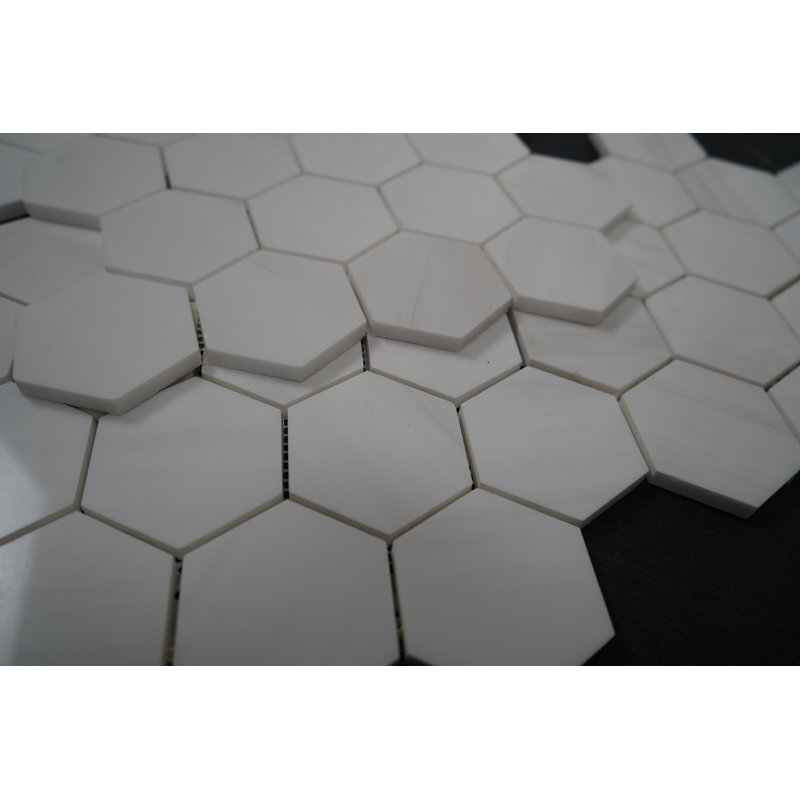 Hexagone brillant 3 po Bianco dolomite