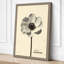 Anemone Study Botanical - Wrapped Canvas-528046634-528046642