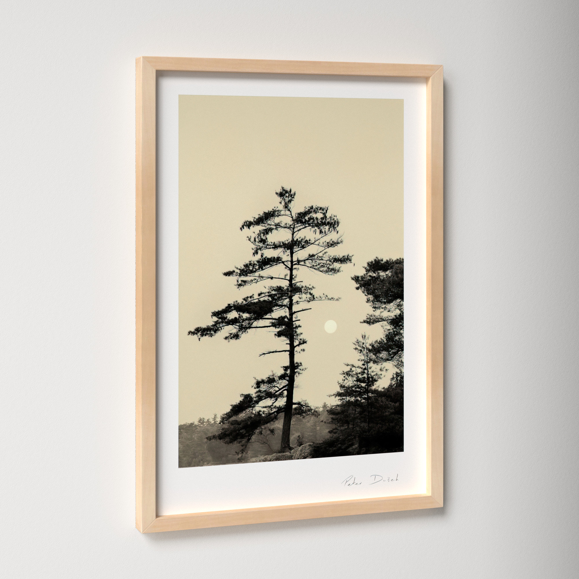Serenity by Peter Dušek, Brown, 25" H x 17.5" W x 1.25" D