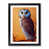 Black Framed selected