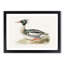 Merganser Diving Duck by Von Wright - Picture Frame Painting Print-55575617-55575622