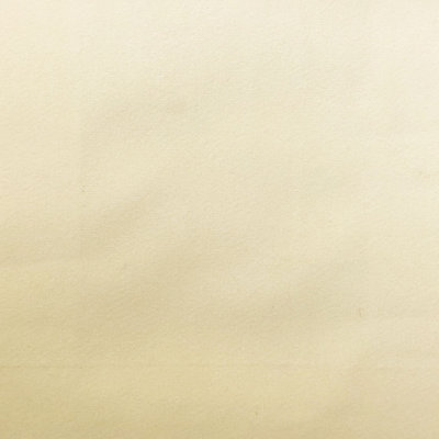 Solid Velvet | Velluto Fabric