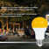 40 Watt Equivalent A19 E26/Medium (Standard) 2000K LED Bulb