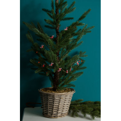 Pierce 140cm LED Battery Powered 20 - Bulb Fairy String Light