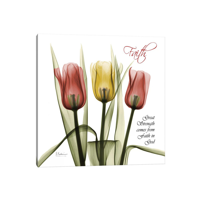Faith Tulips by Albert Koetsier - Wrapped Canvas Print, 66.04 cm H x 66.04 cm W x 3.175 cm D