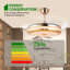 Mercer41 47" Ceiling Fan With Light, 3 Colour, 6 Speed, Brushed Nickel-1862195484