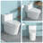 One Piece Ceramic Toilet 12 - Inch Rough In, Dual Flush 1.24/1.43 , Soft Close Seat, 800G Map Rating, Non Porous Surface For Low Maintenance With Flush, Body