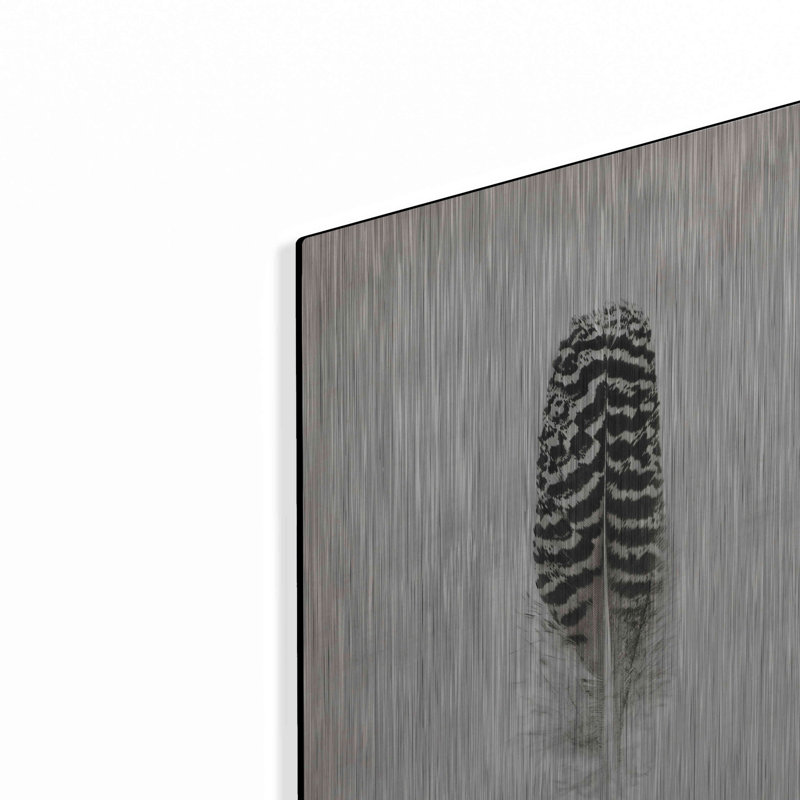 «Feather I B&W» par Debra Van Swearingen, H 16 po x l 12 po