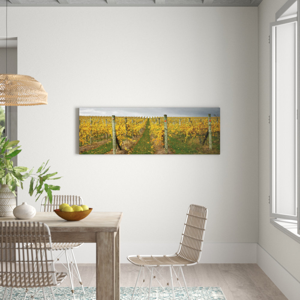 De-Vine by Andrew Brown Photographic Print on Canvas
