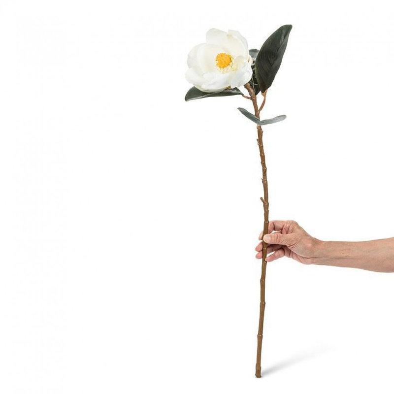 Fleur de magnolia blanc moyen