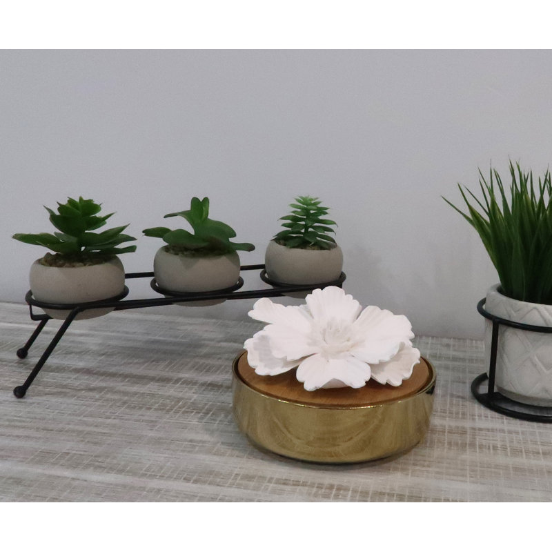 Plant / Floral Reed Diffusers And Sticks, Brown