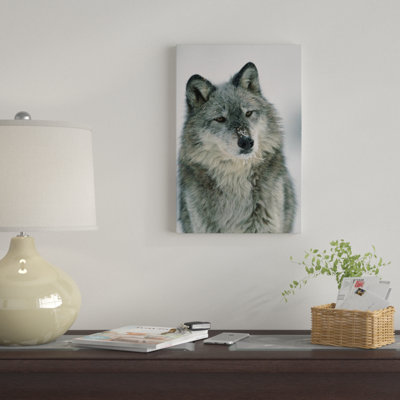 " Timber Wolf With Snow On Muzzle, Montana " by Tim Fitzharris