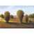 Wrapped Canvas selected