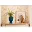 Pot Planter-69444263