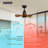 Culliton 28'' Ceiling Fan with LED Lights