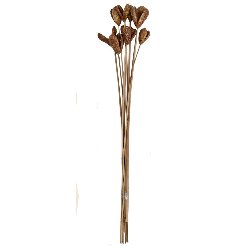 Benzo 18'' Birch Branch