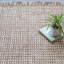 Alastor Ivory/Tan Area Rug-1308672425