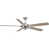 Brushed Nickel/Gray Blades is out of stock