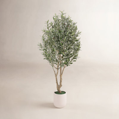 Ashwell 98" Olive Tree in Pot