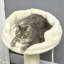 210.82cm H Cat Tree