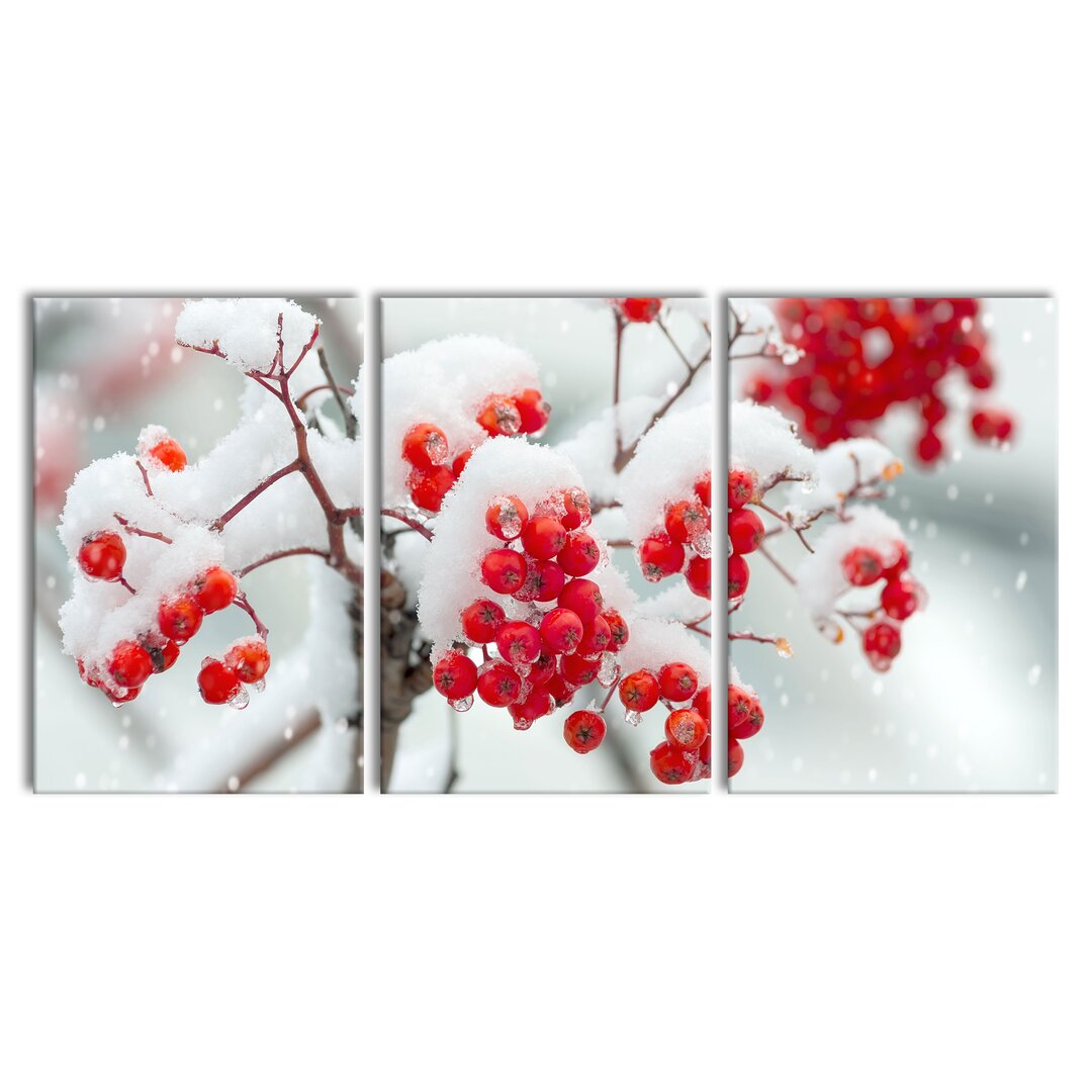 3-tlg. Leinwandbilder-Set Frozen Branches