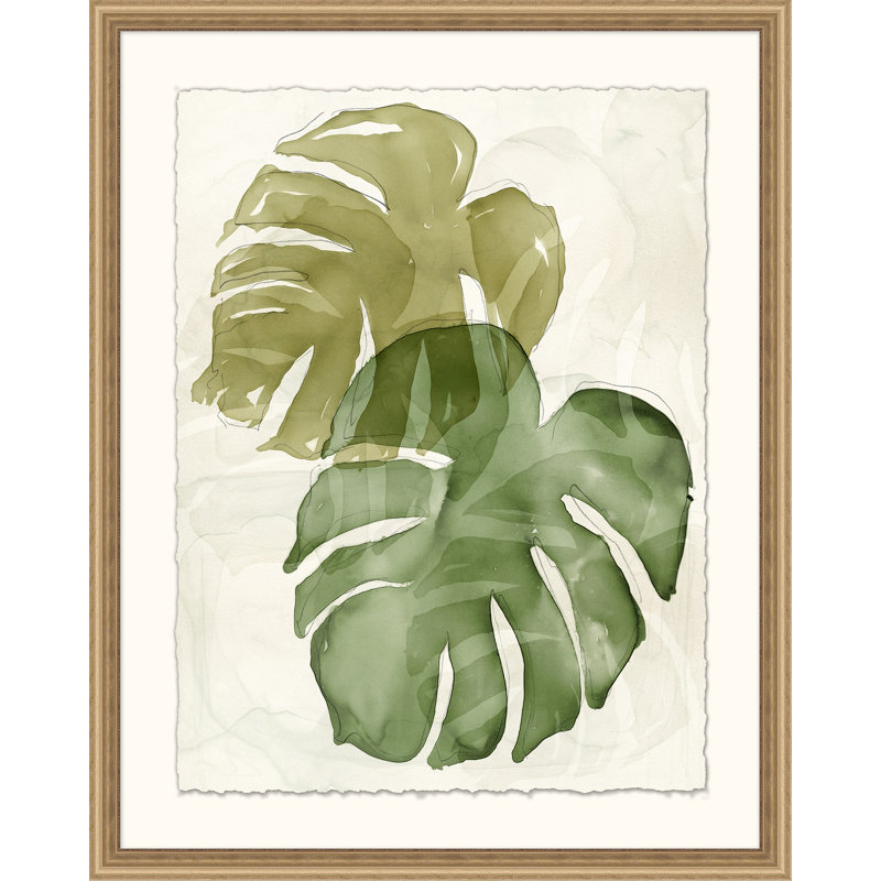 Elephant Ears 2 Print