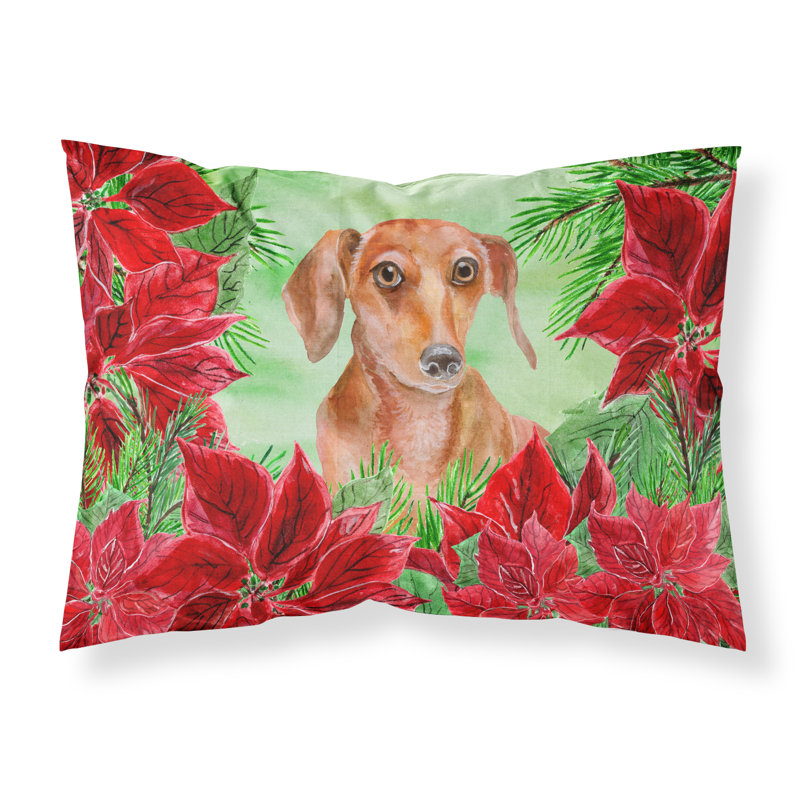 Taie d’oreiller poinsettas, Teckel roux