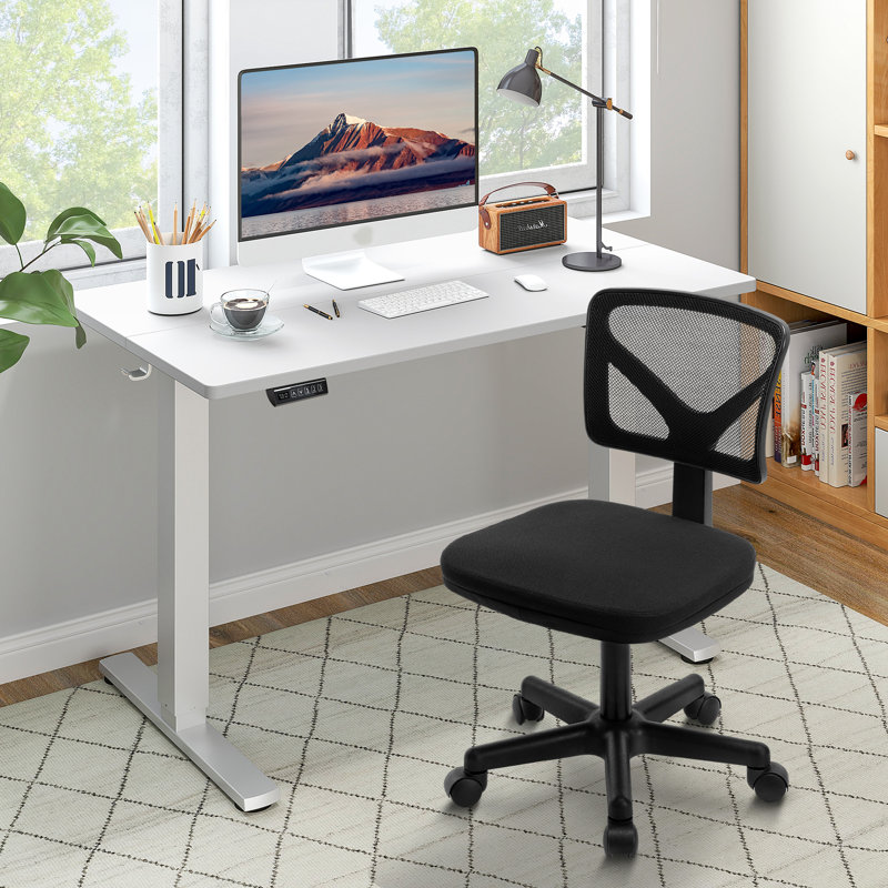 Ensemble de bureau: chaise de bureau en filet et bureau électrique, Noir / blanc