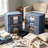 Latitude Run® Decorative Bin Set of 3