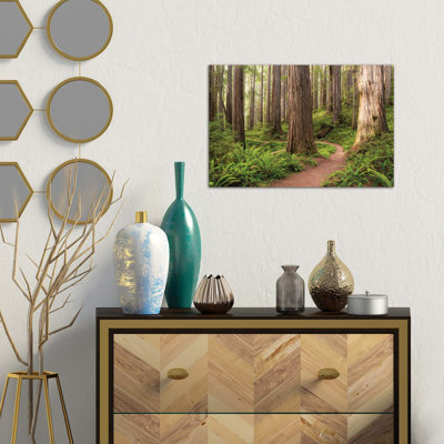 Redwood Trail by Stefan Hefele - Wrapped Canvas Print