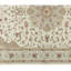 Elegance Oriental Area Rug in Beige/Ivory