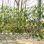 Plastic；Wood Folding-1968738574