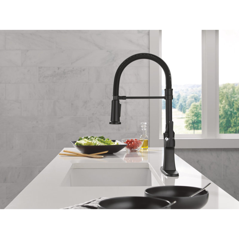 Robinet de cuisine Ermelo Pro Style, Noir mat