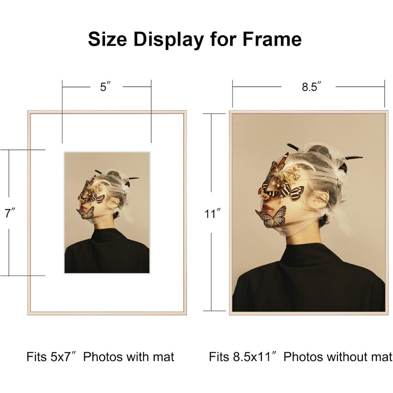 Set Of 4 8.5x11 Picture Frames