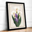 Study in Purple Botanical - Framed Print-1511232901-1511232903