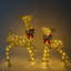 Ensemble de 2 pièces lumineuses biche et fauve