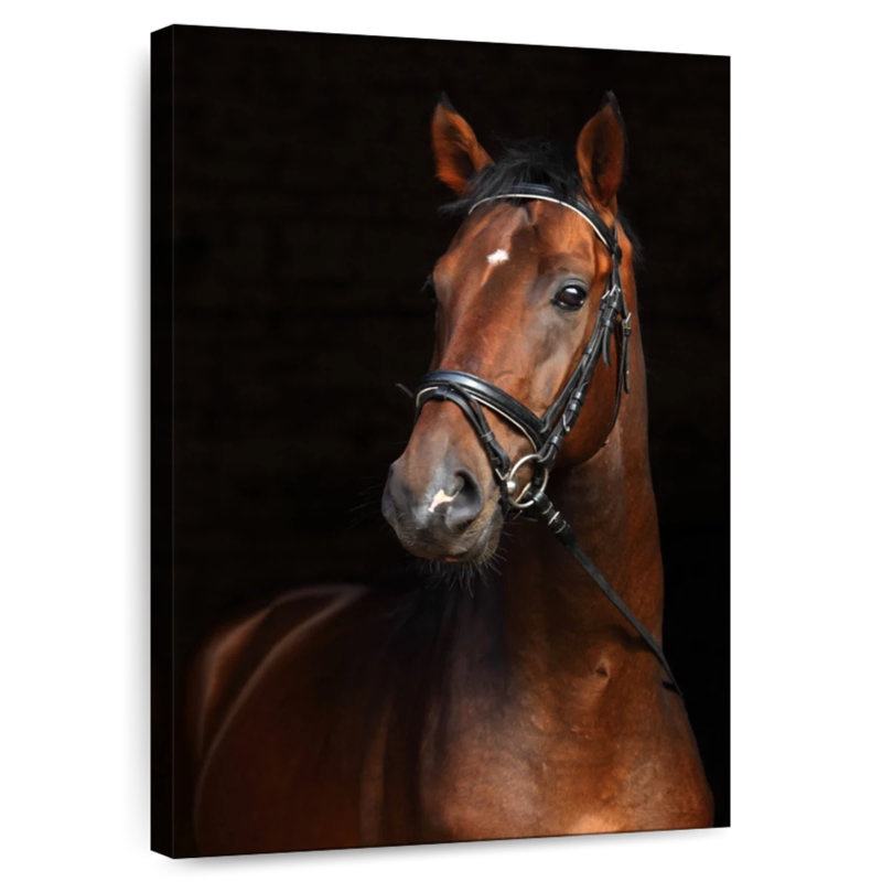 Brampt Bay Horse, 45" H x 30" W