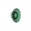 Jellies Wall Hook-36071999