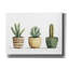«Cacti In Pots» par Svetlana Aleynikova, art mural sur toile-863772279