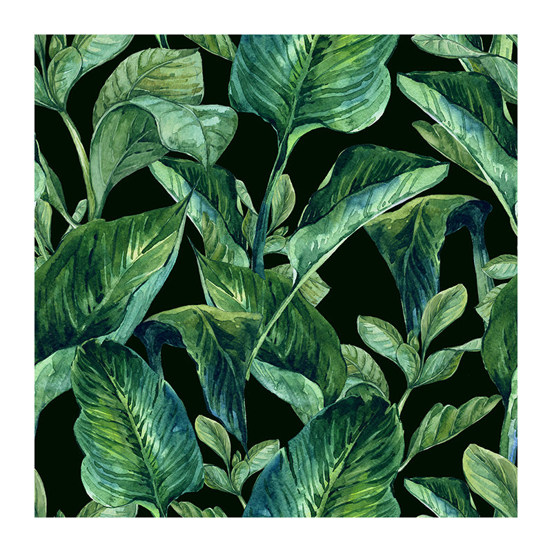 Gavazova Matte Mural, 250 x 250cm
